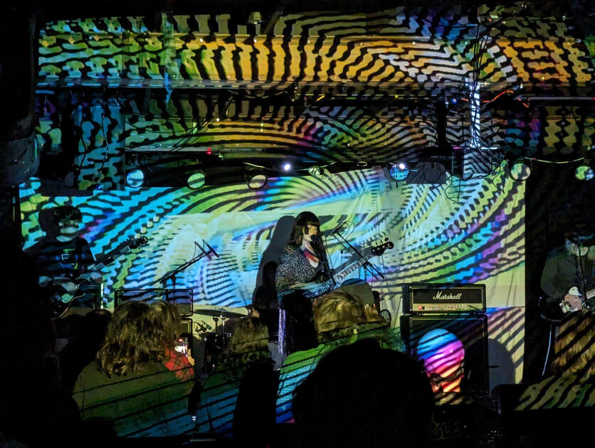 Visuals for Stargazer Lilies at Rubber Gloves