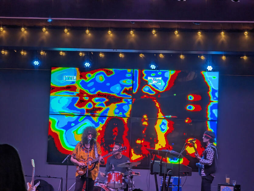 Visuals for Vinyl Williams at Meanwhile Brewing