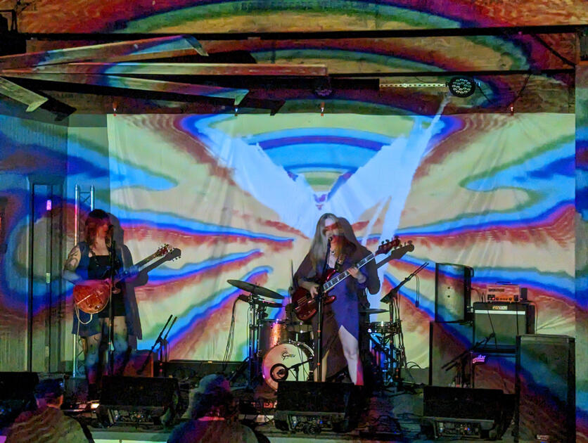 Visuals for Secrecies at Psychedelic Panther Music Festival